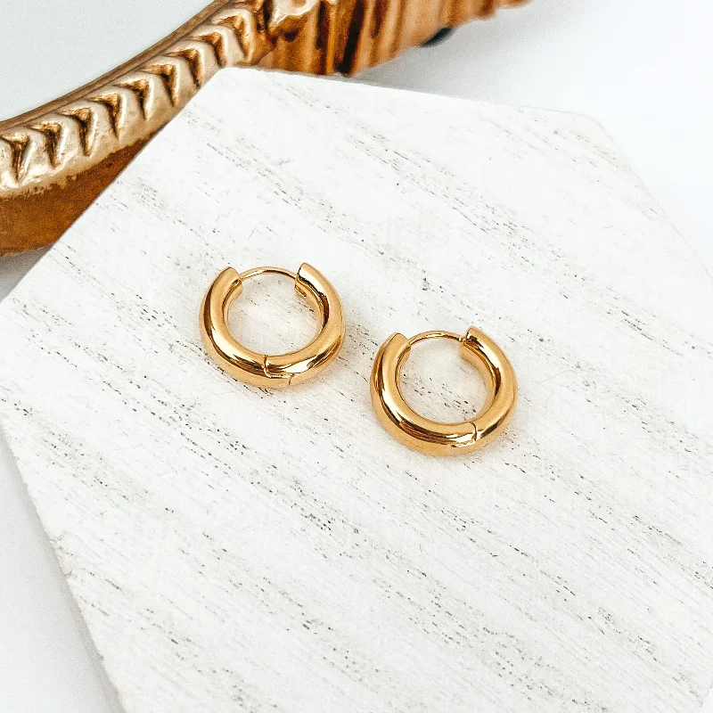 Colorful Drop Earrings-Hoop Huggie Earrings in Gold Tone